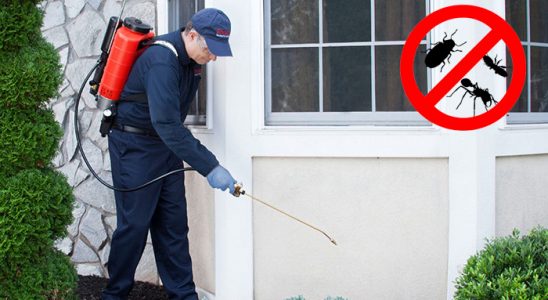 Çamlıdere Dezenfeksiyon böcek ilaçlama ve haşere kontrolü — ilaclama-tr.com